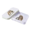 Wrendale Designs Kleine Cadeaus^Uil Opbergblikje - Birds of a Feather