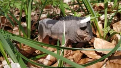 Wudimals Antilopen^Gnoe 40475