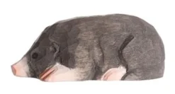 Wudimals Bosdieren|Mollen^Mol 40703